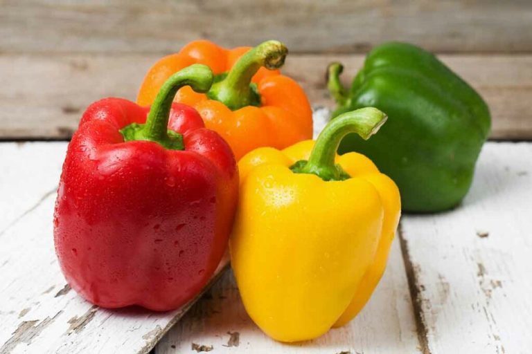 7 Makanan Terbaik yang Mendukung Fungsi Ginjal