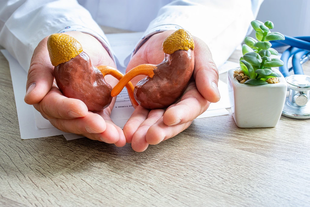 7 Cara Alami untuk Memperkuat Fungsi Ginjal